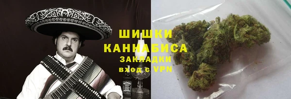 прущие грибы Абдулино